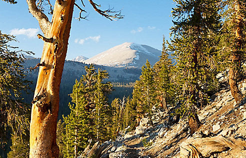 Pacific crest hotsell trail day hikes