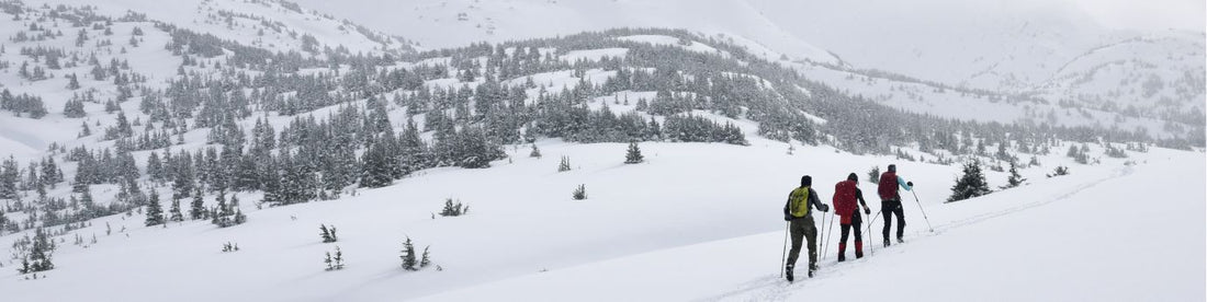 backcountry skiing