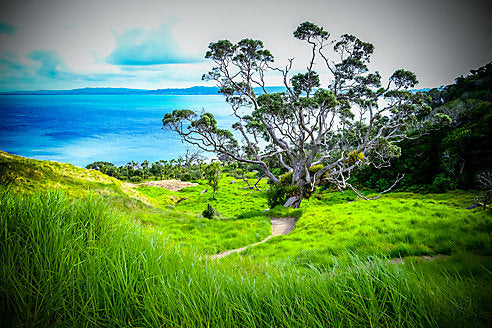 Adventurous Beach Destinations (And What to Do There)