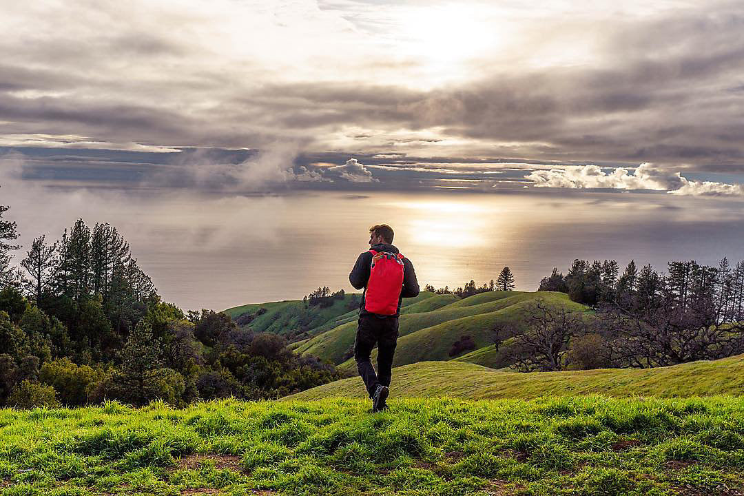 ben horton in a green field