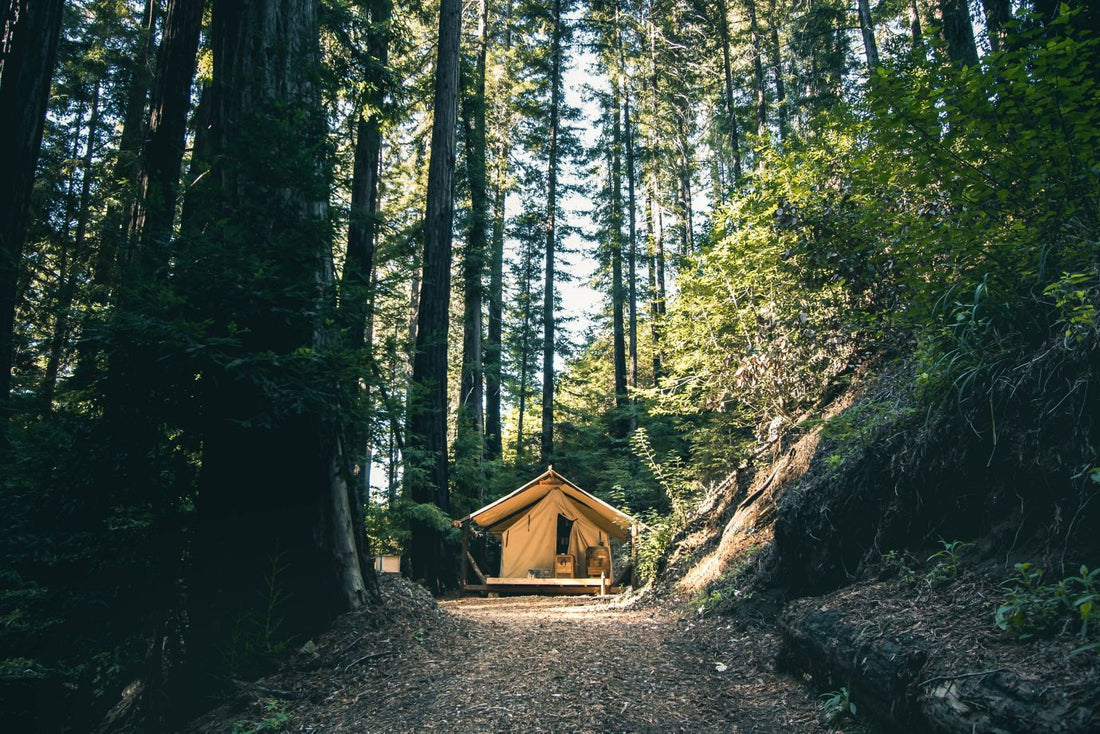 canvas hut in woods