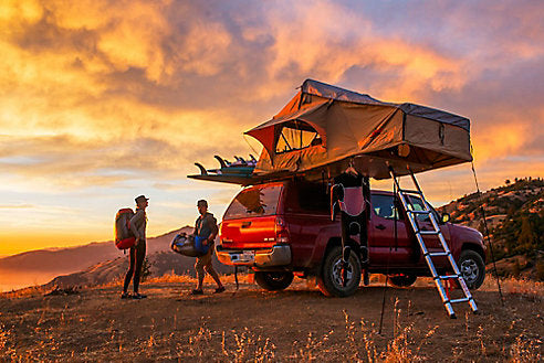 How to Make Your Travel More Environmentally Friendly