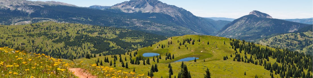 Colorado Trail