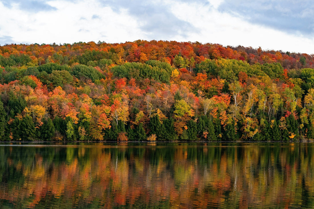 Chasing Color: A Road Trip Guide to New England's Autumn Colors