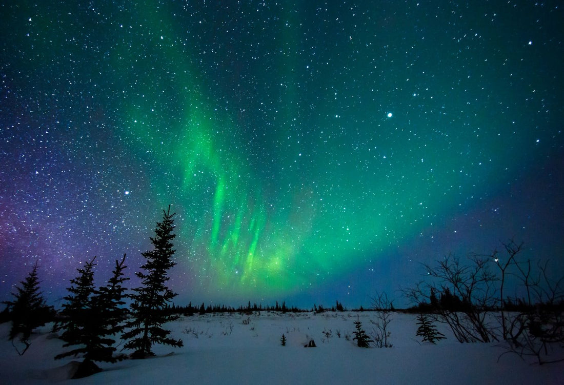 Northern Lights