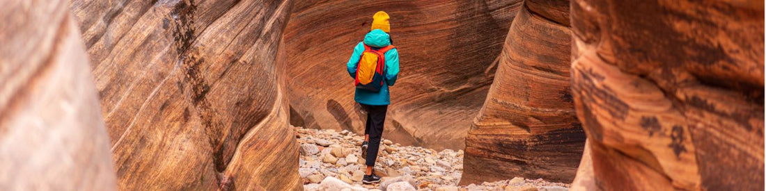 sustainable backpack