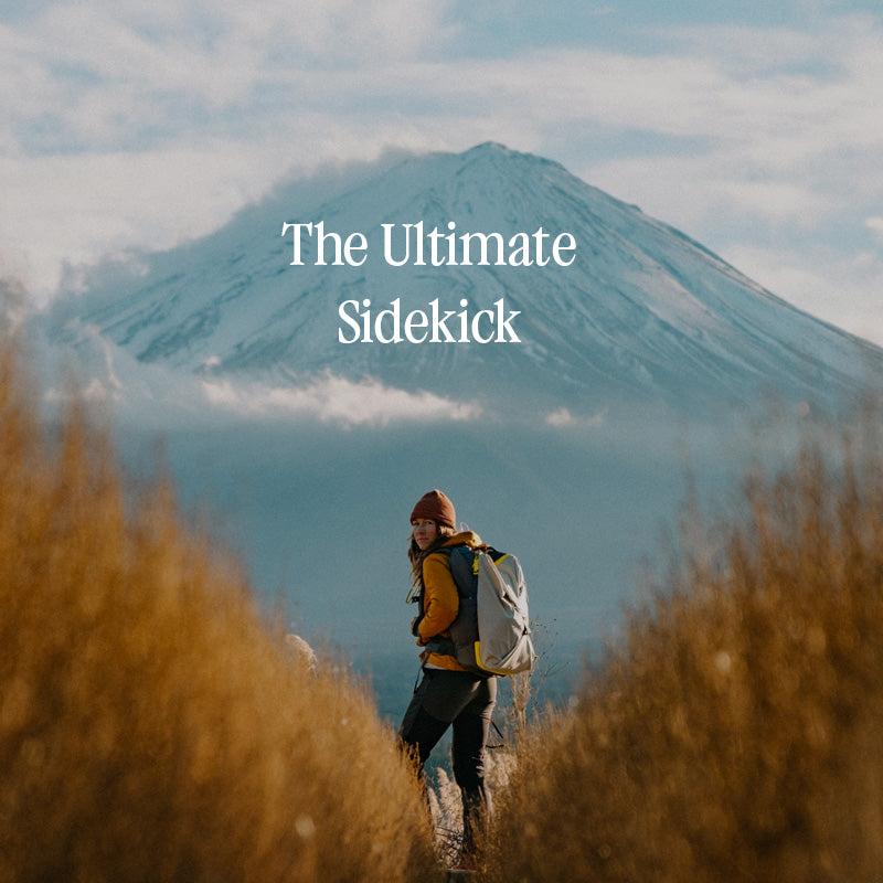 Eagle Creek Tour Travel Backpack Ultimate Travel Sidekick