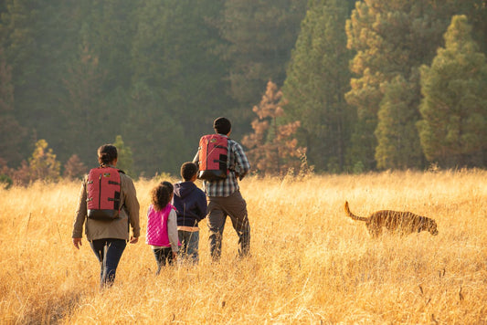 a family walks down a trail