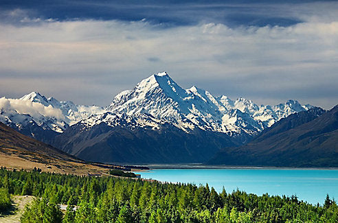 6 Best Budget-Friendly Accommodations in New Zealand