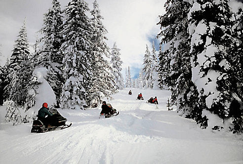 6 Surprising Activities You Can Do in U.S. National Parks