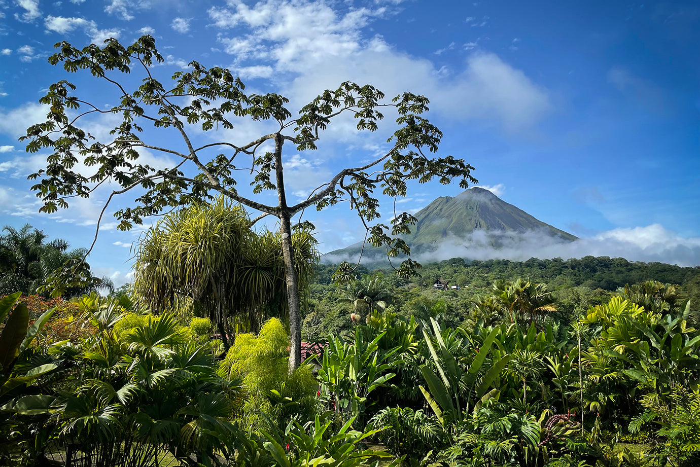 Ecotourism broad galapagos