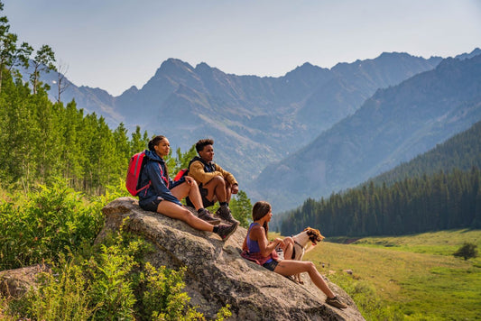 Hikers with dog taking in view