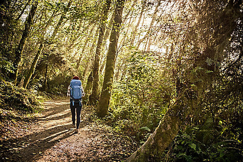 A Beginner’s Guide To Hiking