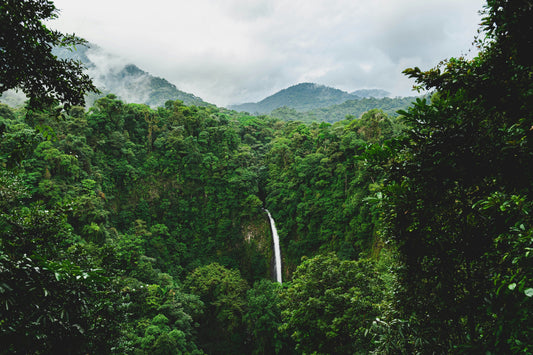 Warm Weather Adventures: A Week in Costa Rica