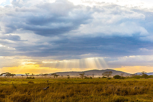 Explore Africa on a Volunteer Trip
