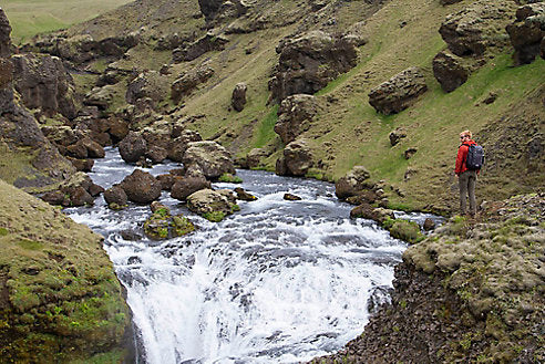 Join the Movement: Let's Protect Our Environment