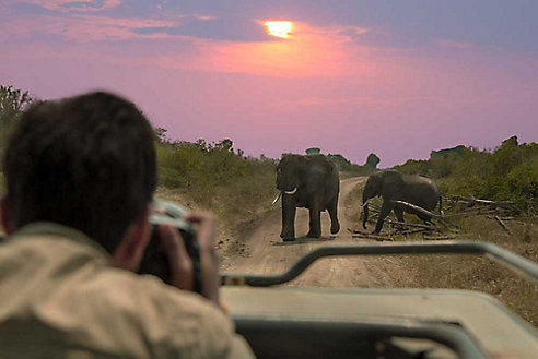 Pack This Not That: Safari Packing Hacks