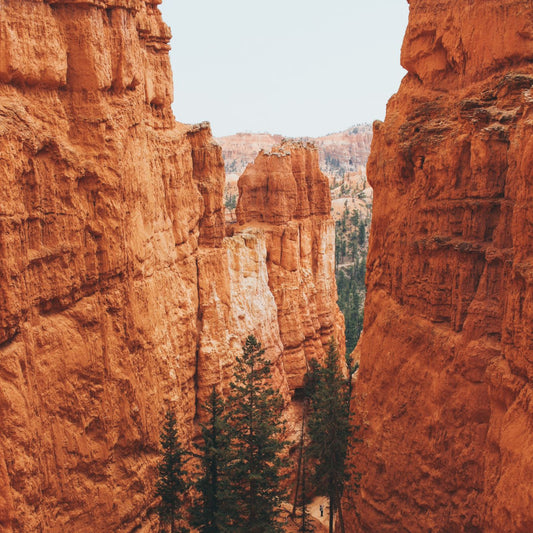 travel is good for soul