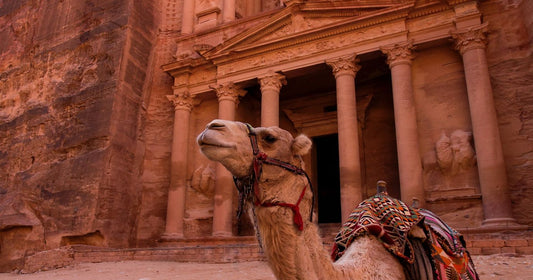 why we travel