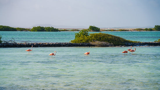 Read article: 5 Affordable Spring Break Destinations